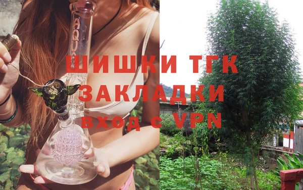 эйфоретик Баксан
