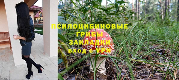 эйфоретик Баксан